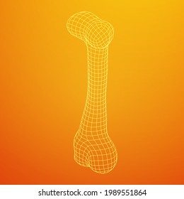 Anatomy Dog Bone object. Wireframe low poly mesh vector illustration