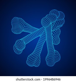 Anatomy Dog Bone object. Wireframe low poly mesh vector illustration