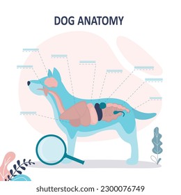 Anatomie des Hundes mit Innenorganstrukturuntersuchung. Bildmarkierte Handout für Zoologie, Infografik oder Plakatvorlage. Gesunde Tiermodellbeschreibung mit Lage der inneren Tierteile.