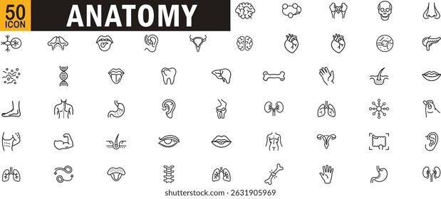 Anatomy editable outline icon set. Organs, body parts, systems, human biology, and medical elements.
