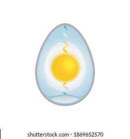 Anatomy of an egg vector illustration isolated on white.