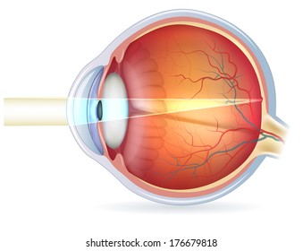 eye diagram blank