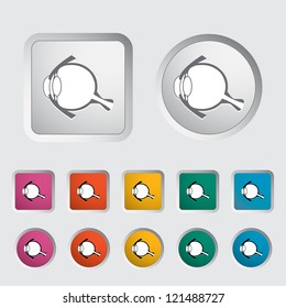 Anatomy eye icon. Vector illustration.