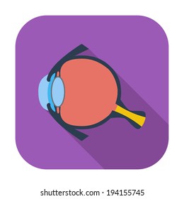 Anatomy eye. Single flat color icon. Vector illustration.