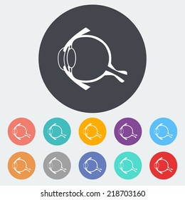 Anatomy eye. Single flat icon on the circle. Vector illustration.