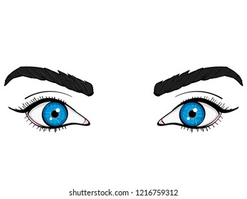 anatomy of the face. The eyes are female blue. Vector illustration