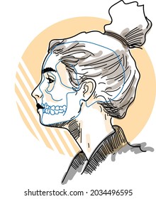 anatomía de la cara - vector - 
ilustración de cara lateral de chica