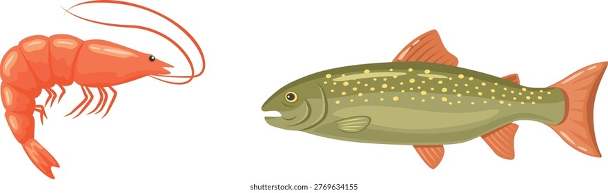 Anatomy of a fish showing internal organs and external features