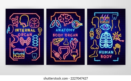 Anatomy Flyer Concepts. Vector Illustration of Medical Human Health Objects.