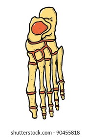 Anatomy of the foot bones vector illustration