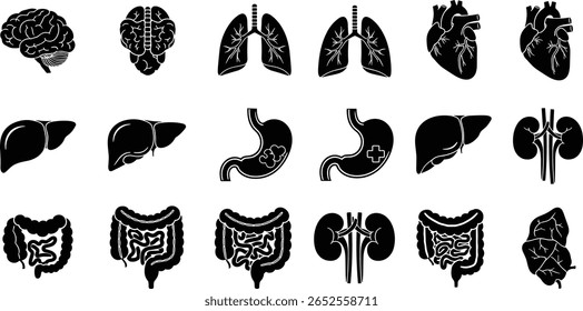 Conjunto de ícones de glifo de anatomia. Pictogramas vetoriais de órgãos do corpo, osso, esqueleto, coluna vertebral, olho, ouvido, nariz, boca, lábios, mão, pé, estômago, rins, bexiga, silhueta de sinais negros 