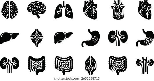 Conjunto de ícones de glifo de anatomia. Pictogramas vetoriais de órgãos do corpo, osso, esqueleto, coluna vertebral, olho, ouvido, nariz, boca, lábios, mão, pé, estômago, rins, bexiga, silhueta de sinais negros 