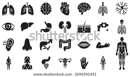Anatomy glyph icon set. Vector pictograms of body organs, bone, skeleton, spine, eye, ear, nose, mouth, lips, hand, foot, stomach, kidneys, bladder, black sign silhouette illustration