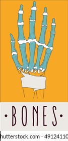 Anatomy hand, bones, joint and wrist