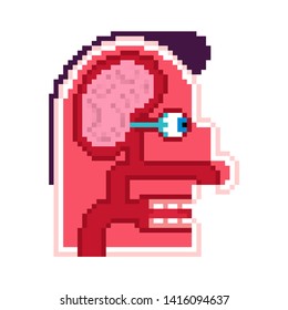 Anatomy Head pixel art. cartoon Internal scheme 8 bit. Brain and eye. Taste buds. Skull cut