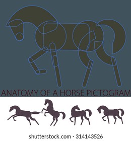 'Anatomy' of a horse pictogram; sample of the construction. Added four horse pictograms which can be used as a logo, illustration, graphic elements etc.