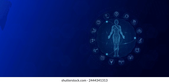 Anatomy of the human body. Icons internal organs female. Health care medical innovation and science. Background banner design with empty space for text. Vector EPS 10.