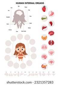 Cuerpo humano anatómico. Infografía con una linda chica. Esquema visual interno de los órganos femeninos personajes de dibujos animados, nombres y ubicaciones. Ilustración vectorial. Concepto educativo de niños médicos