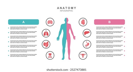 Anatomia do corpo humano informação ilustração infográfica pode ser usado em salas de aula para facilitar discussões sobre a biologia humana, anatomia e saúde.