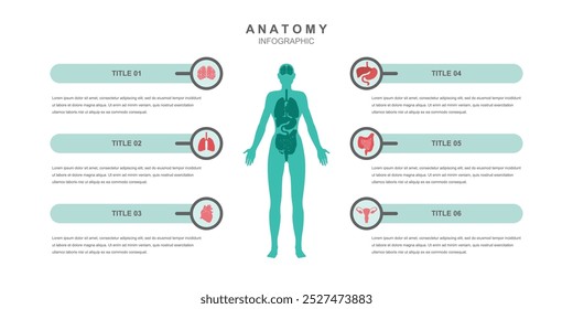 Anatomia do corpo humano informação ilustração infográfica pode ser usado em salas de aula para facilitar discussões sobre a biologia humana, anatomia e saúde.