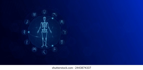 Anatomía del cuerpo humano esquelético. Icono de órgano óseo. Innovación médica y ciencia. Diseño de banner de fondo con espacio vacío para texto. Vector EPS 10.