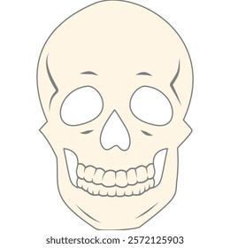 anatomy human bone and muscles