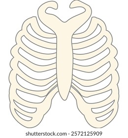 anatomy human bone and muscles