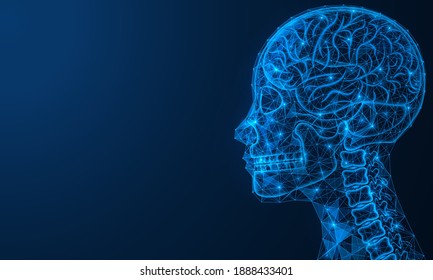 Anatomy of the human brain. Skull and spine. Polygonal construction of lines and points. Blue background.