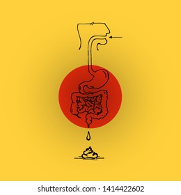 The anatomy of a human digestive system from intake to faeces. Hand drawn vector illustration. 