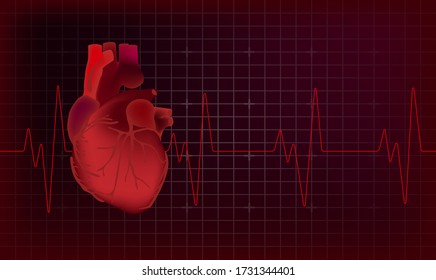 Anatomy Of Human Heart. 3d Illustration