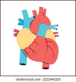 Anatomy of a Human Heart and Human Heart Functions.