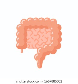 Anatomy of human intestine, flat vector illustration, cartoon style 