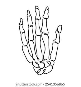 Anatomy Human Line Art Vector Design Decorative