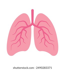 anatomy of human Lungs vector graphics clip art