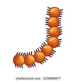 anatomy human microbes