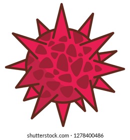 anatomy human microbes