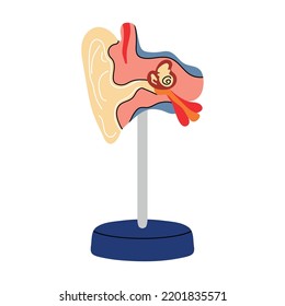 Anatomy of human organ, ear in flat line style on stand. Cartoon vector illustration, medicine, biology, physiology. Health, body, eardrum, hearing, feeling, balance, auricle, structure, learning.