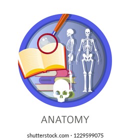 Anatomy of human, school classes, discipline studies at university vector. Skeletal body of man with bones and skull, books with information and explanation. Magnifying glass research symbol