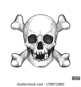 Anatomy human skull with lower jaw and bones.