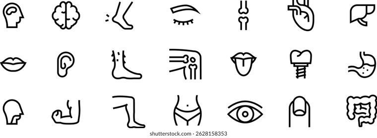 Anatomy icon human body part and organs