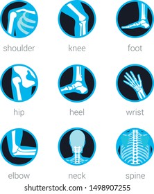 Anatomy Icon Rehabilitation Spine Neck Elbow Wrist Heel Hip Foot Knee Shoulder