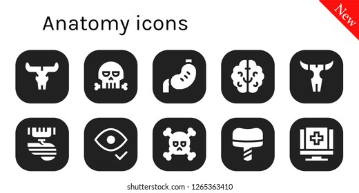  anatomy icon set. 10 filled anatomy icons. Simple modern icons about  - Skull, Stomach, Brain, Organ, Eye, Dental implant, Medical