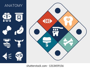 anatomy icon set. 13 filled anatomy icons.  Simple modern icons about  - Tooth, Eye, Skull, Organ, Bone, Stomach, Brain, Jolly roger, Dental implant, Bones