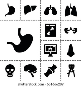 Anatomy icon. set of 13 filled anatomyicons such as nose, hair removal, stomach, liver, lungs, brain, kidney, bone, x ray, x-ray on display