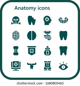 anatomy icon set. 16 filled anatomy icons. Included Skull, Broken tooth, Brain, Gum shield, Organ, Tooth, Bone, Jolly roger, Ossuary, Medical, Human body, Eye icons