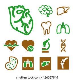 anatomy icon set