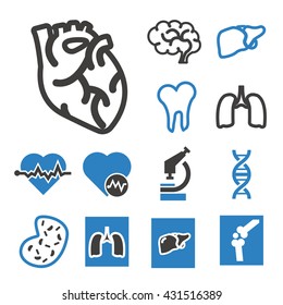 anatomy icon set