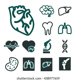 anatomy icon set