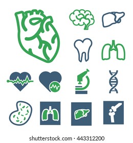 anatomy icon set