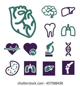 anatomy icon set